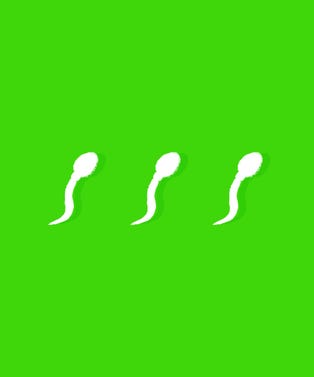 SpermPrimer_slide-05