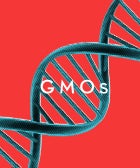 What You Really Need To Know About GMOs