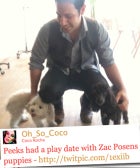 Twitter Troll: Jane Aldridge's Dad, Coco Rocha's Pups, And Karlie Kloss Wants To Go To Med School