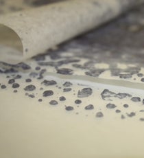 PageImage-517270-opener