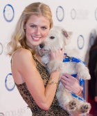 Best Gala Ever: London's Collars & Coats Dog Walk