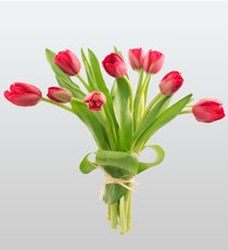 Tulip_Retouched_300dpimain