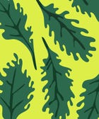 How To Own Your Food Choices