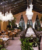 18 Brand-New NYC Restaurants To Start Loving Now