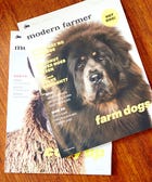 Future of Modern Farmer Magazine Uncertain