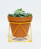 14 Of The Most Useful Products Your Apartment Doesn't Have (Yet)