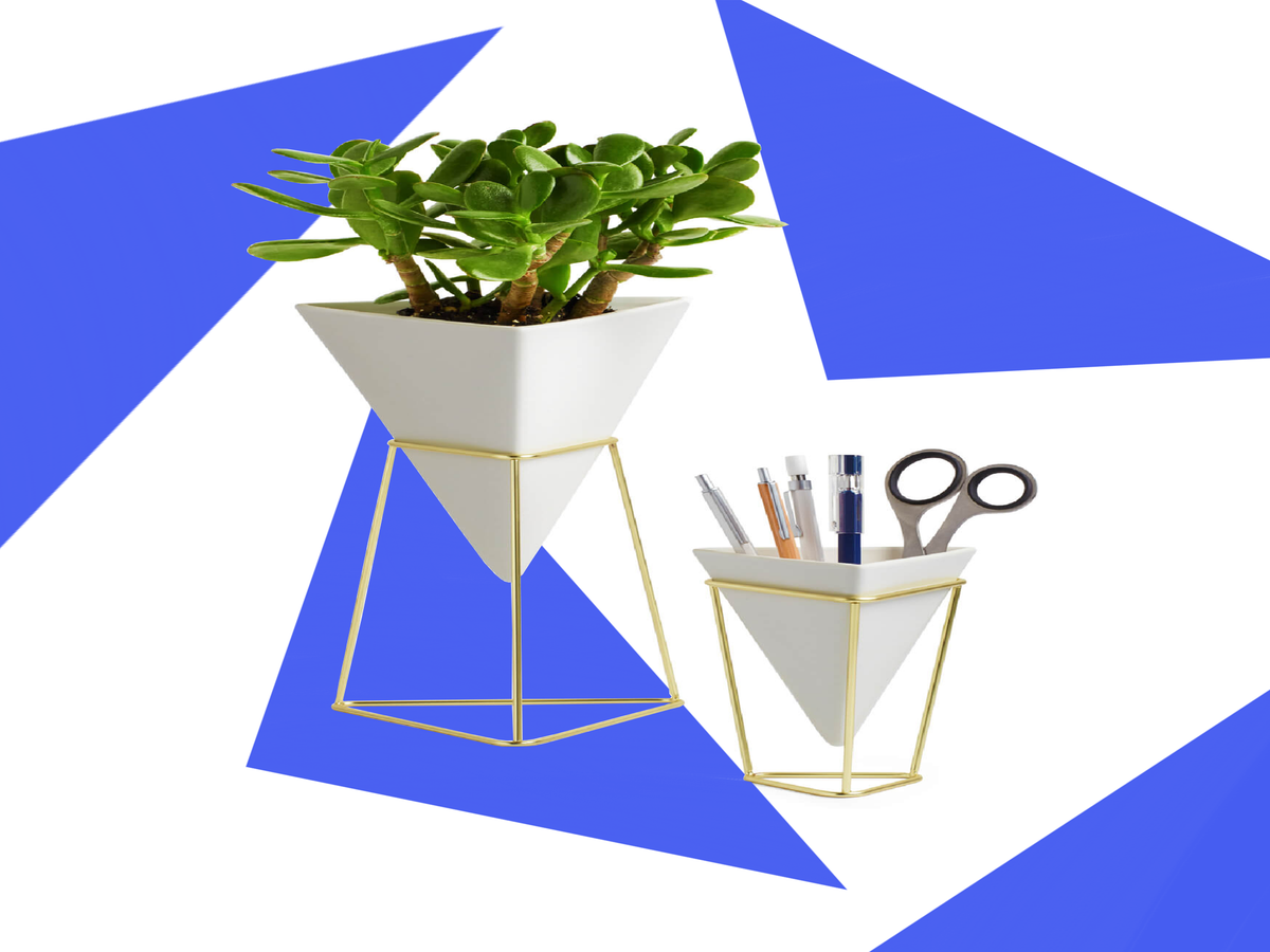 Google News West Elm Latest Google News West Elm Latest