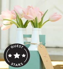 PopBottleVasesOpener