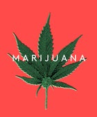 We're Gonna Be Blunt: The Truth About Weed