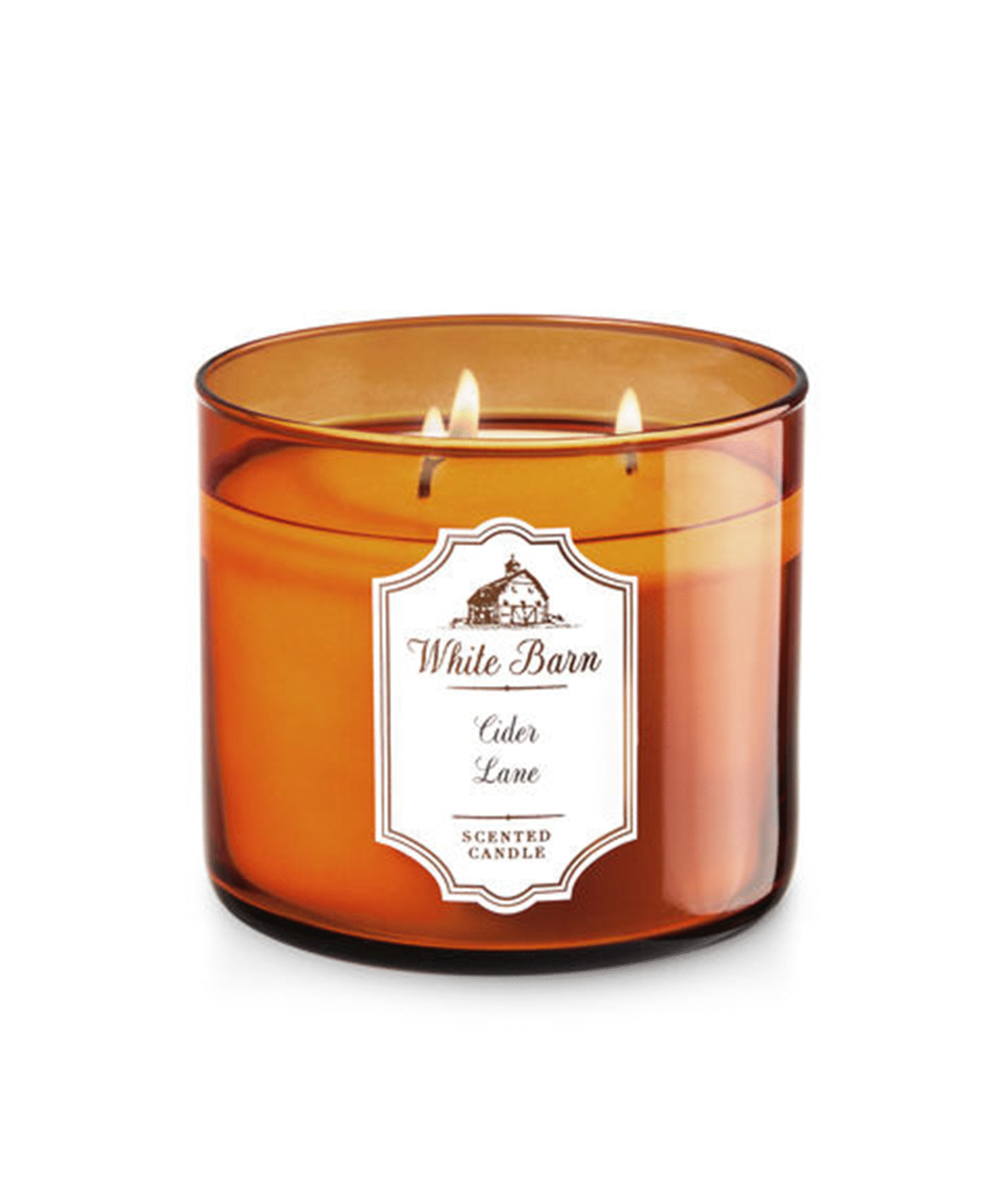 Bath Body Works Fall Candle Sale Leaves Pumpkin Spice