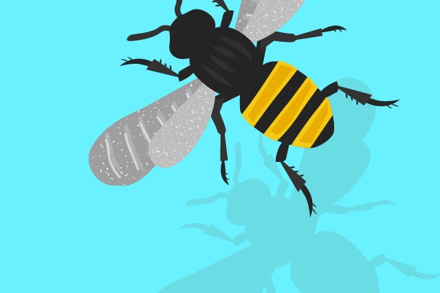 Bug_slide-01