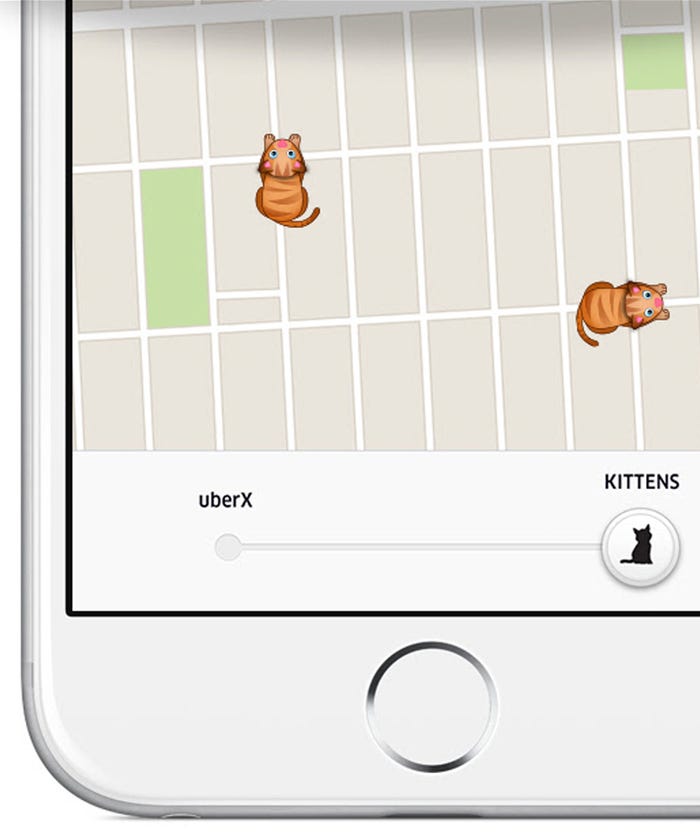 Uber Delivers Kittens For National Cat Day