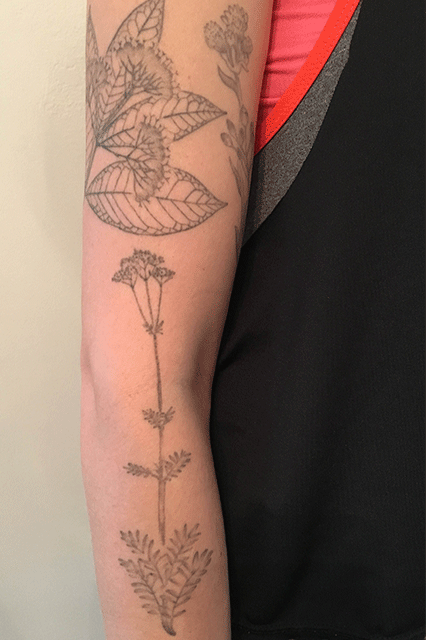 Don Davis Ford >> Pretty Tattoos Aesthetic, No Sentimental Value Don Davis Ford >> Pretty Tattoos Aesthetic, No Sentimental Value