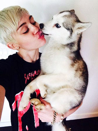 mileydoge_embed