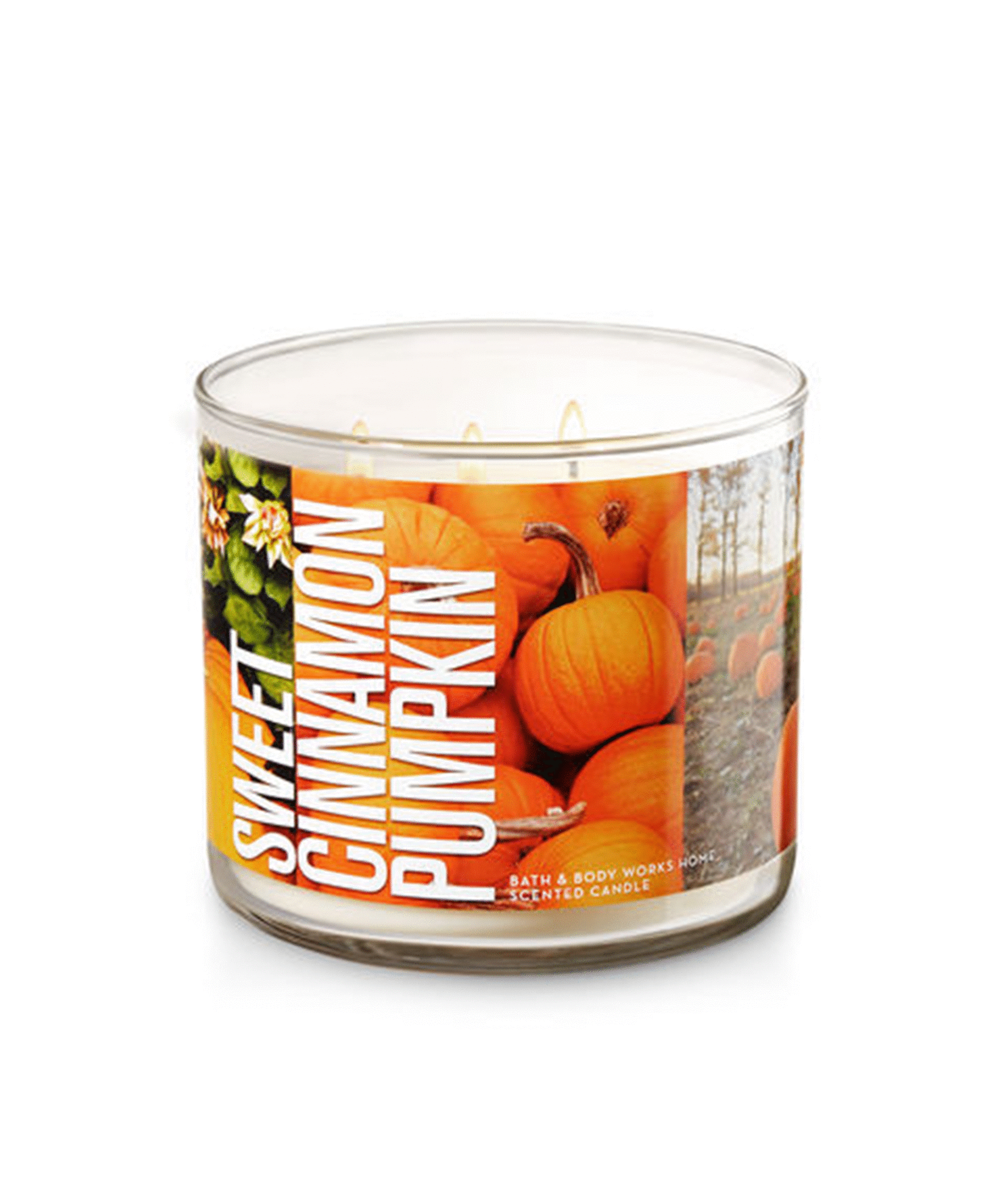 Bath Body Works Fall Candle Sale Leaves Pumpkin Spice