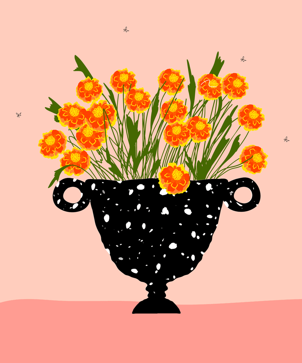 How To Get Rid Of Flies Quickly Exterminator Advice