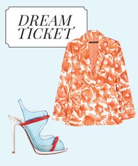 DreamTicket copy