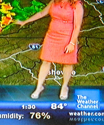 Bettie Page Queen Of Curves Photo Book, Body Confidence