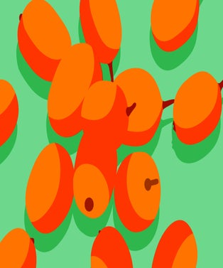 superfood-slide-1