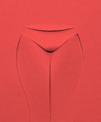 GrossBeauty_opener_1