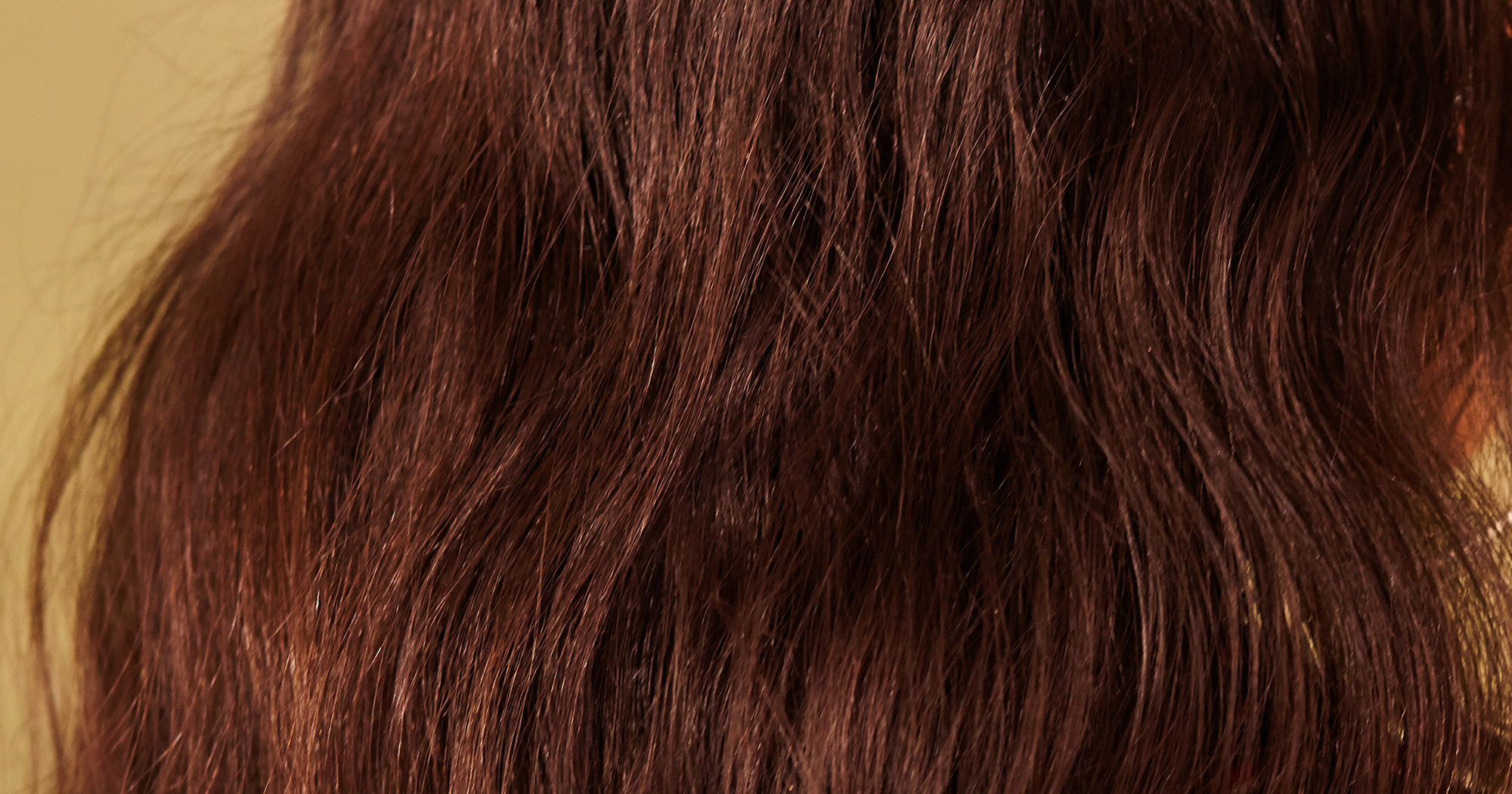 Dog Ears Hair Color Inspiration Twitter Viral Photo