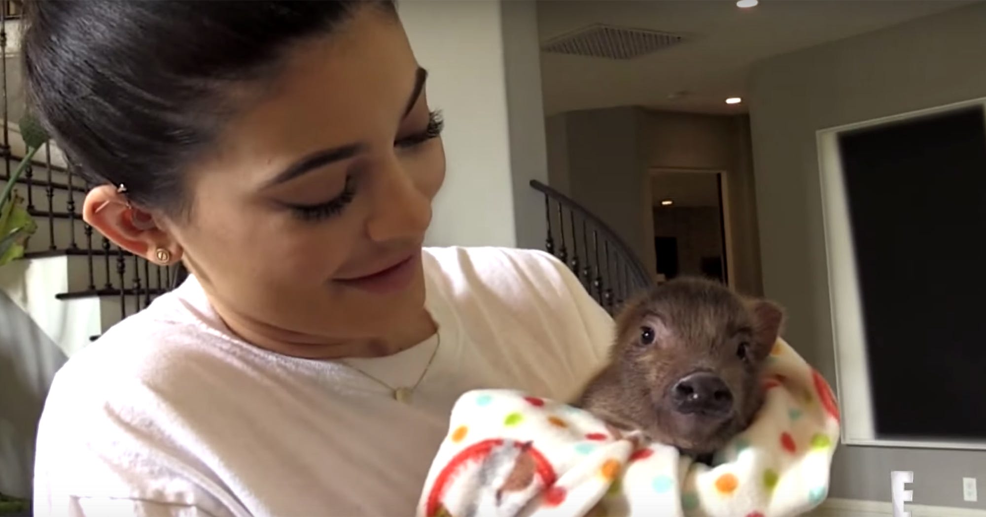 Kylie Jenner Chicken Pig Vine Explained