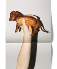 Dachshund-opener
