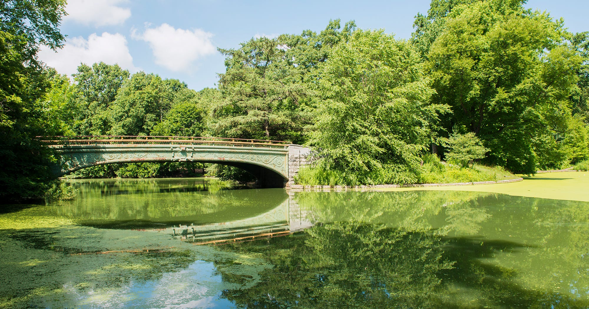 hiking and camping trails near me