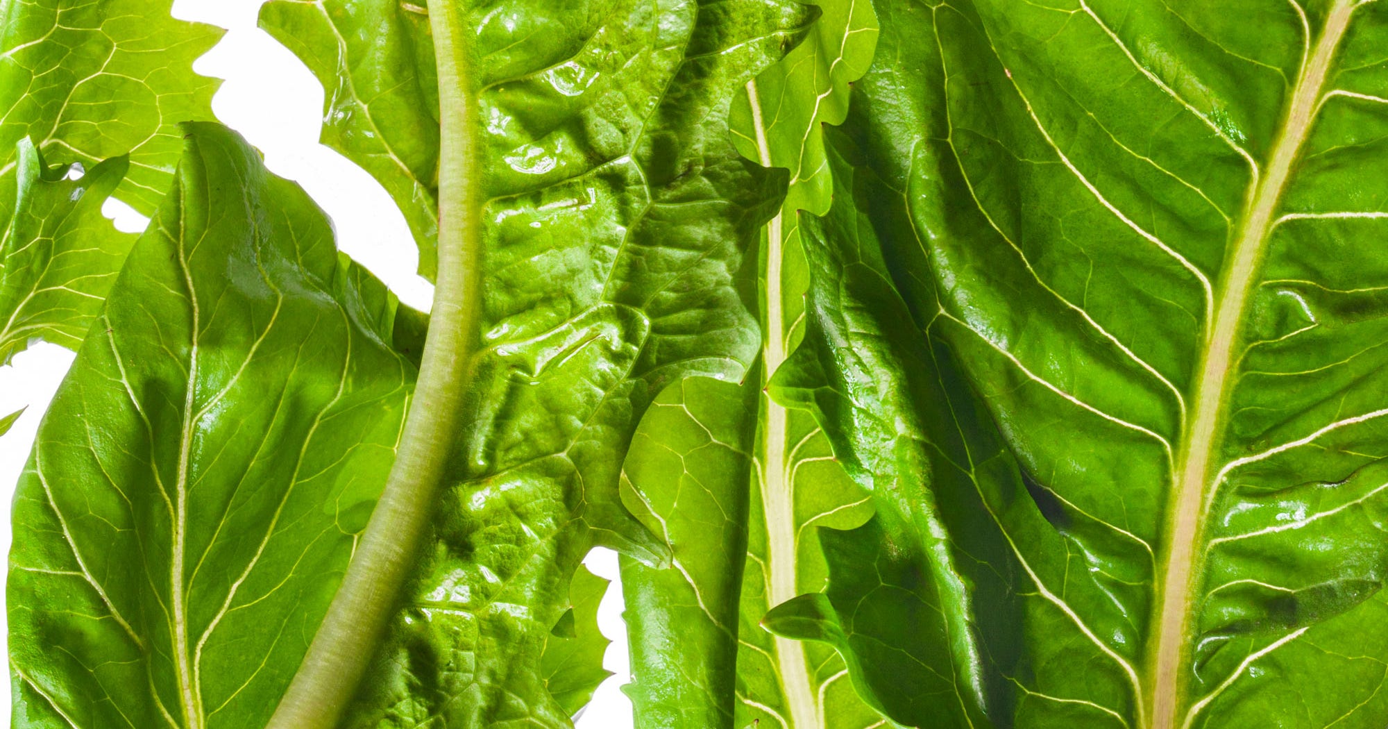 Fresh Express Recalls Packaged Lettuce