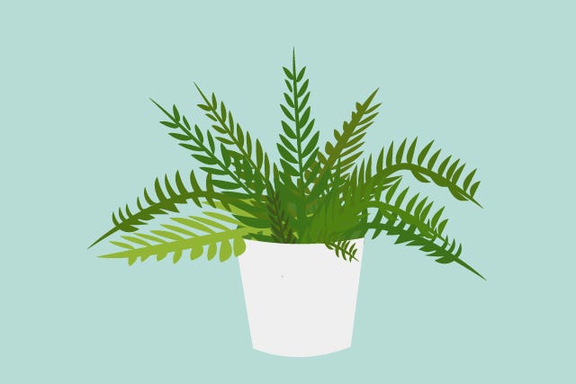 PlantsToKill_slide-03