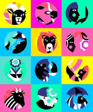 opener_all_star_signs