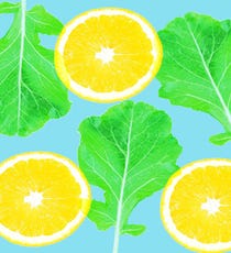 Vegetarian_Myths_opener01