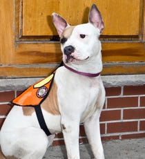 06_IMG_0125_BenRitter