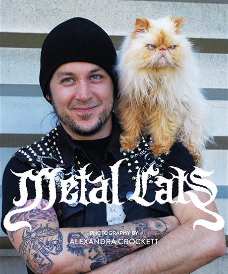 metalcatsopener