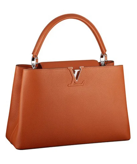 Louis Vuitton Higher Prices Designer Handbags