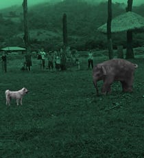 qdTjhoAG45jqE8vd_KPqV7vYj2568PfE93KA2HROl2k