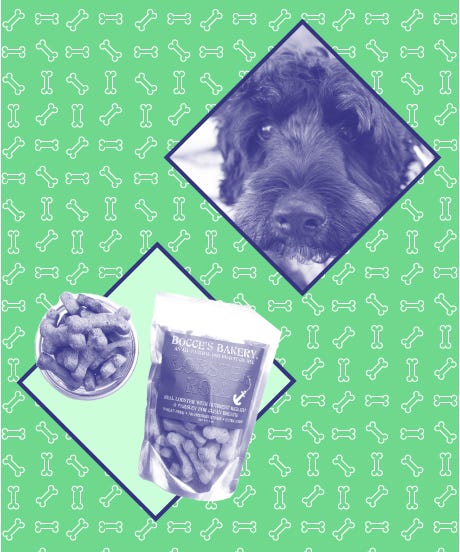 r29DogTreatAwards_Opener