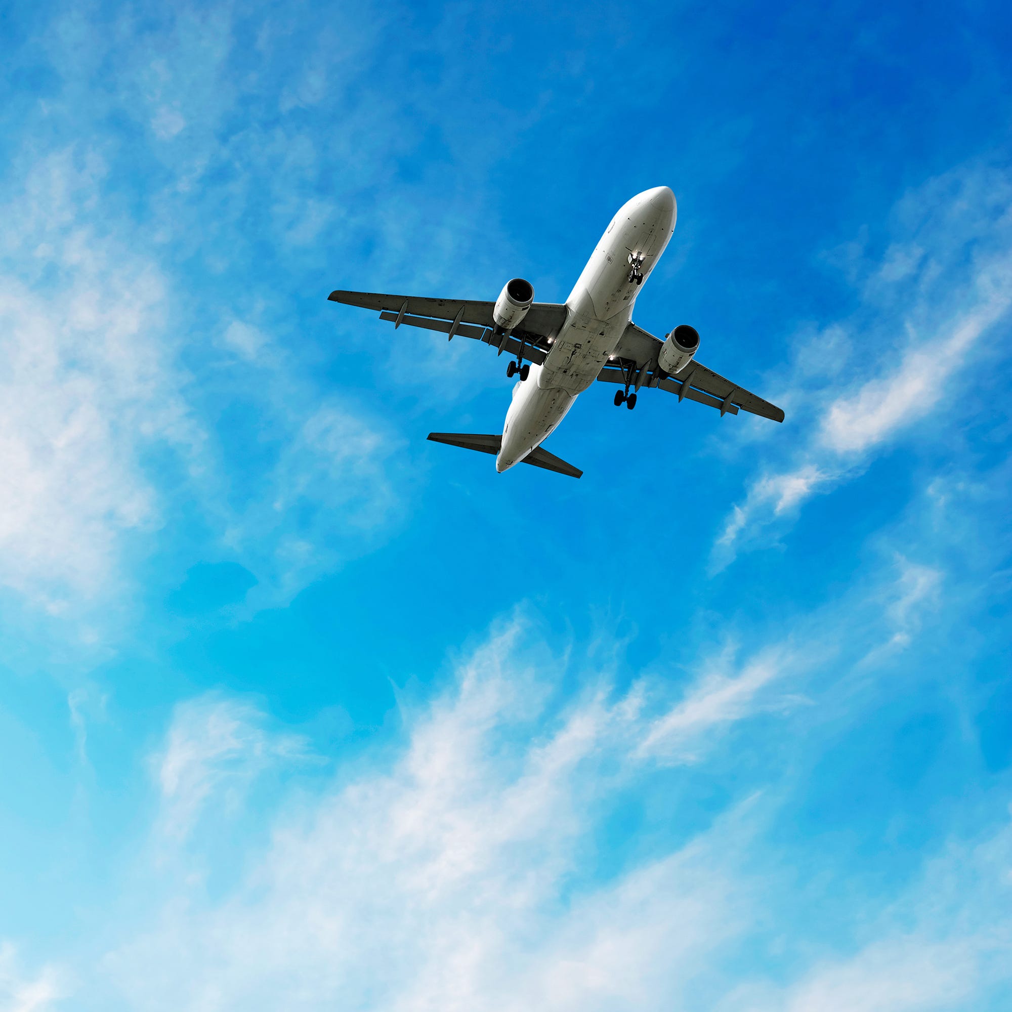 135,000 per trip or plane gourmet hotel 4 135,000 per trip or plane gourmet hotel 10
