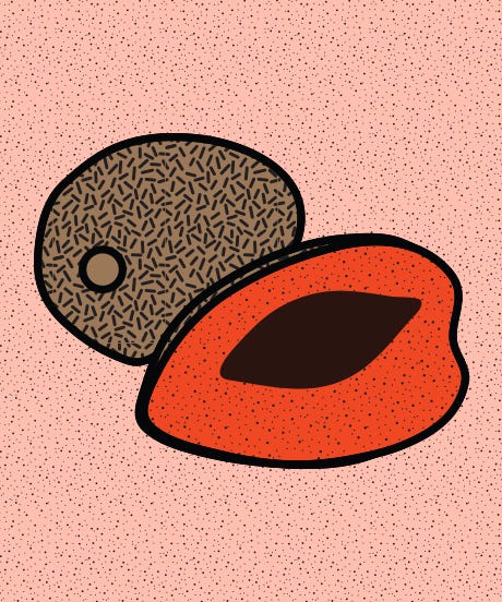 exotic_import_opener_anna