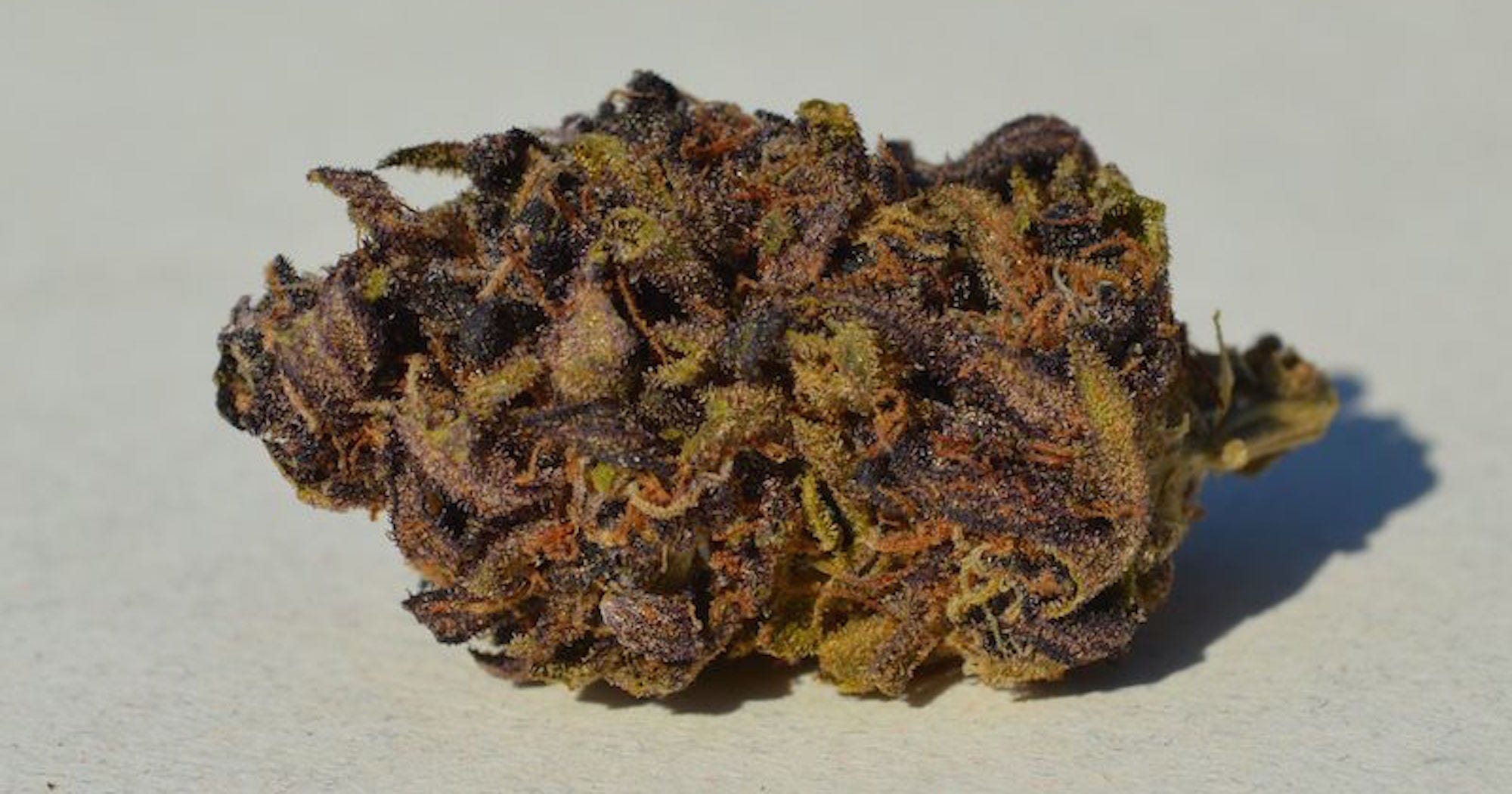 This Weed Strain Was Designed Specifically To Make You Orgasm