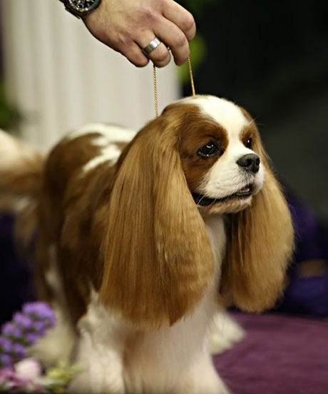 openerNUP_162113_2556