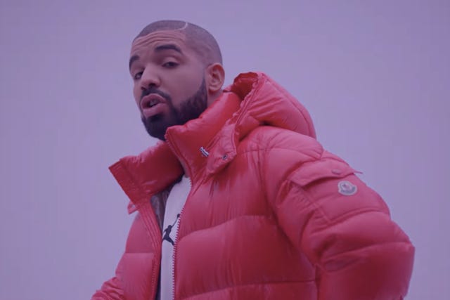 drake canada goose drake canada goose