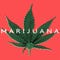 MARIJUANAOPENER