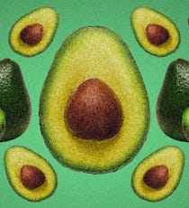avocado-op