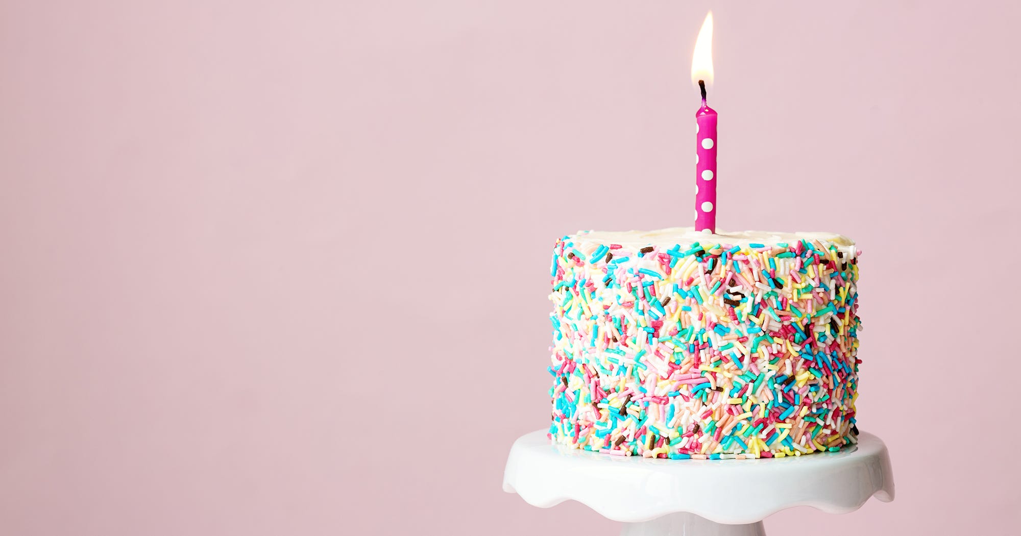 Trader Joes New Birthday Cake Candy Bar