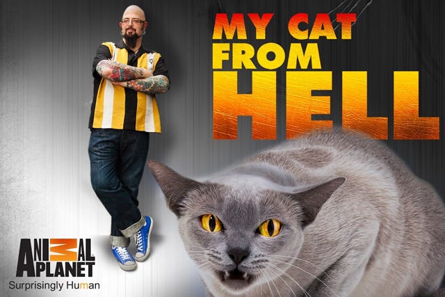 catfromhell