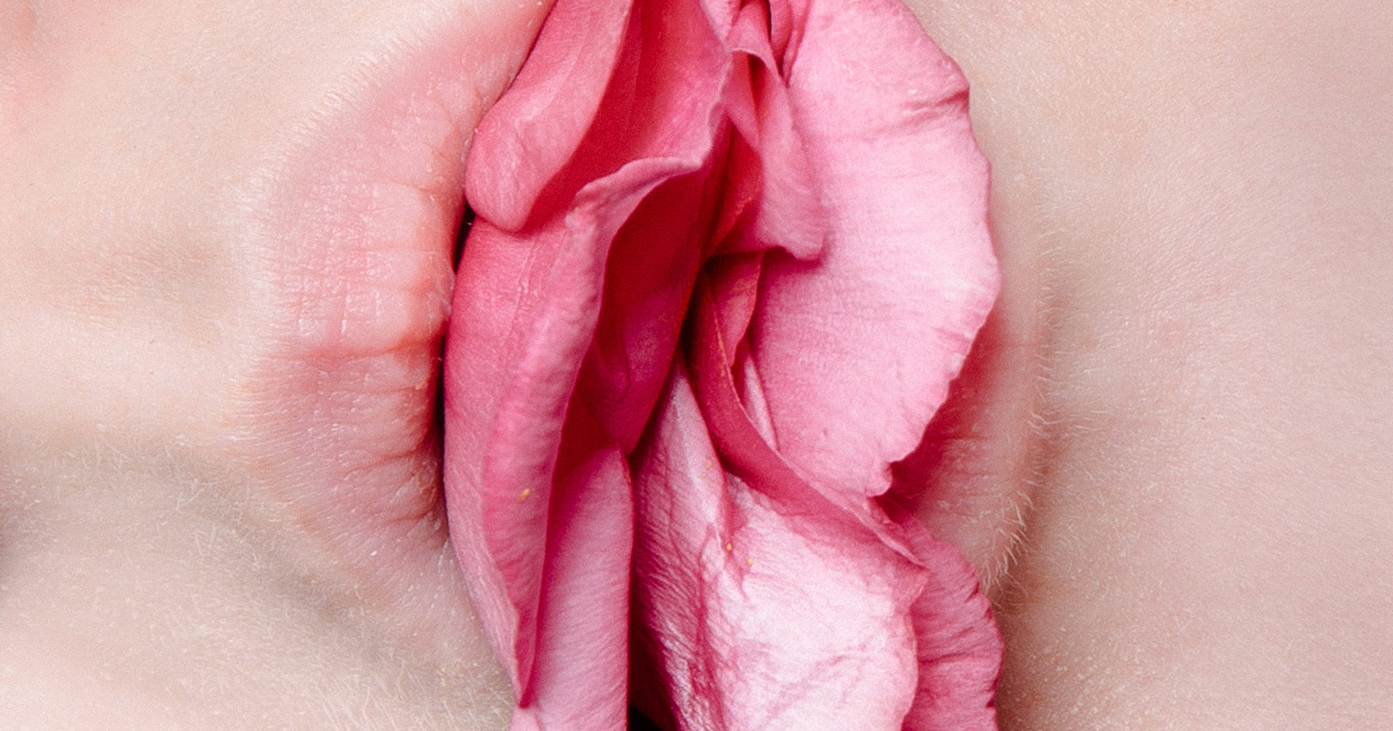 Meat Curtains Vagina