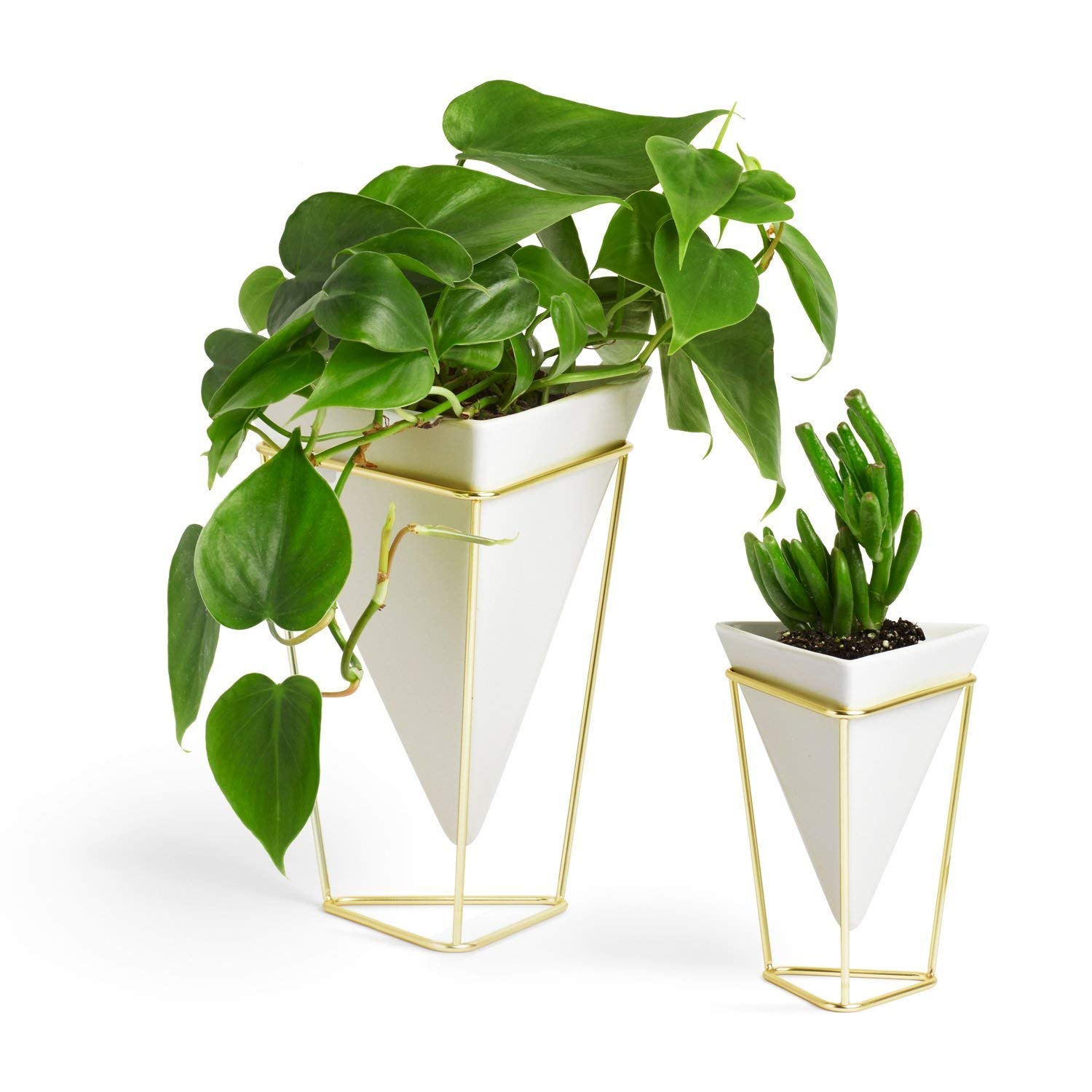 Umbra + Trigg Desktop Planter Vase & Geometric Container