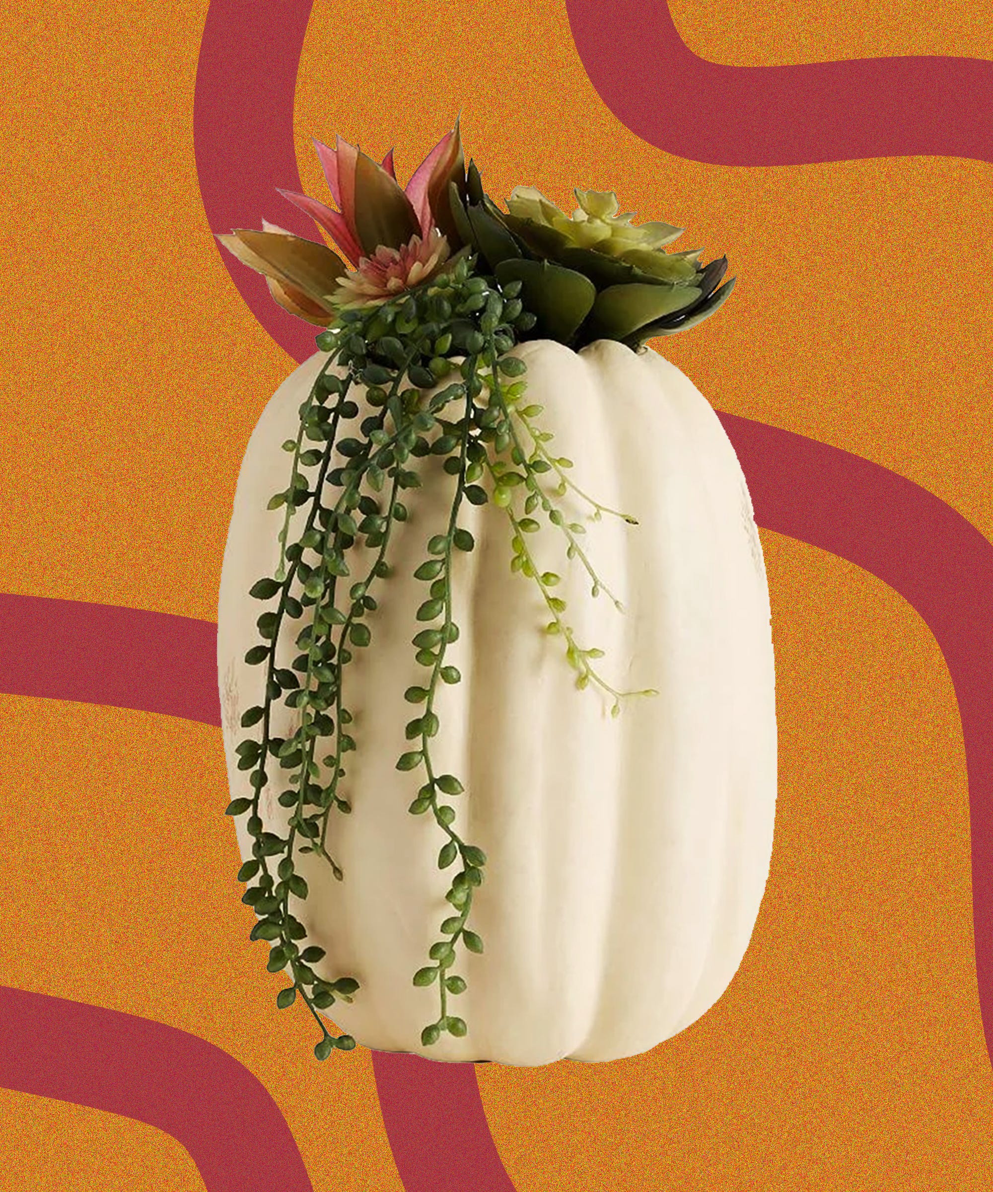 Succulent Pumpkin Hybrid Crafts For Fall And Halloween