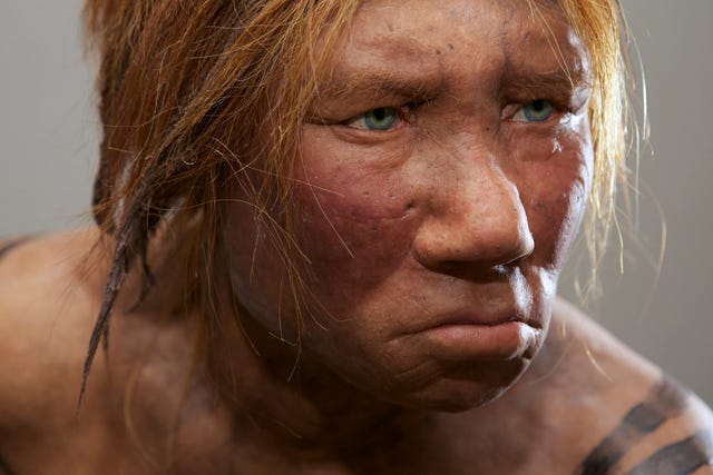 neanderthalphoto